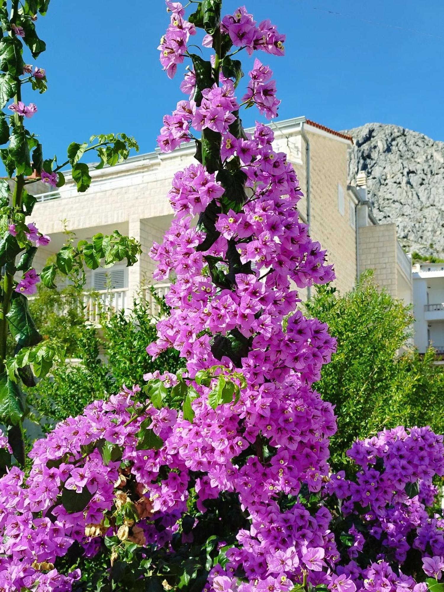 Ferienwohnung Am Sandstrand Omiš Eksteriør billede